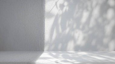 Gölge palmiye yapraklı çimento dokusu boş alanda bulunan ürün ve metni, lüks arka plan, boş gri beton duvar zemini ve duvar odası, bahar ve yaz.