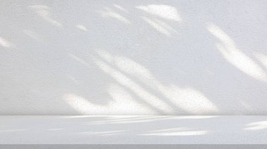 Gölge palmiye yapraklı çimento dokusu boş alanda bulunan ürün ve metni, lüks arka plan, boş gri beton duvar zemini ve duvar odası, bahar ve yaz.