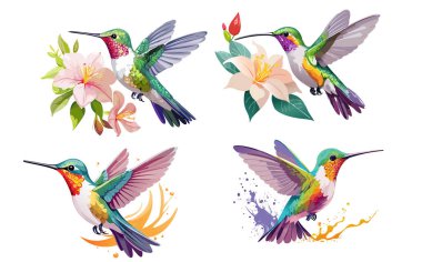 Canlı sinekkuşu çiçek taşıyıcı illüstrasyonunun yakınında geziniyor.