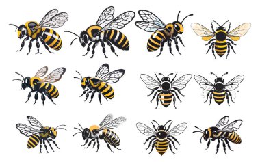 Şirin Arı Silueti Vektör İllüstrasyon Tasarımı, çok gizli grafikler