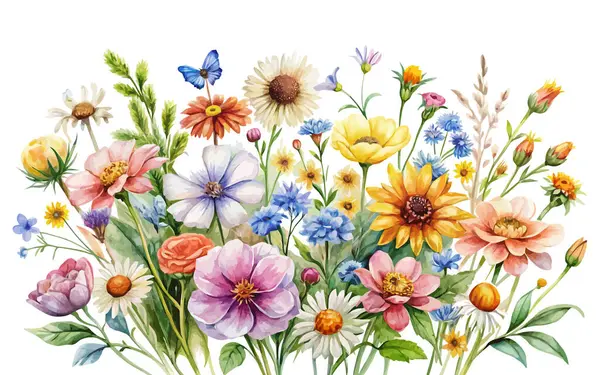 Suluboya Vahşi Çiçek Clipart Çizimi. beyaz arkaplan