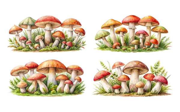 Beyaz arka planda izole edilmiş el yapımı suluboya mantar resimleriyle ilgili