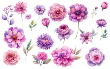 suluboya pembe çiçekler beyaz arkaplandan izole edilmiş