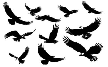 Beyaz arkaplandan izole edilmiş kartal uçan siluet vektör görüntüsü