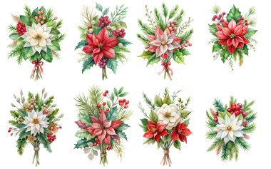 suluboya Noel çiçekleri seti beyaz arkaplandan izole