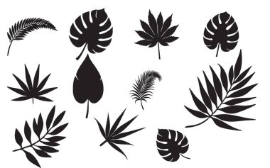 Tropikal Bitki Silueti, Tropikal Palmiye Siluet Vektör Resmini Bırakıyor.