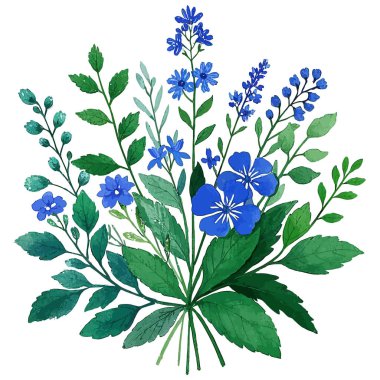 Mavi çiçek vektörü. yabani otlar.