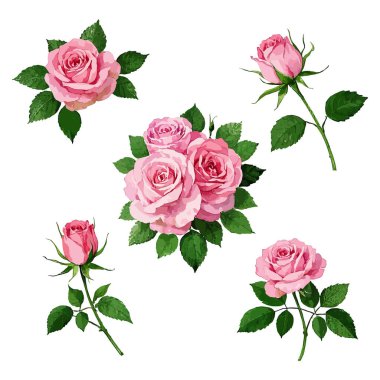 Suluboya güller. el boyası