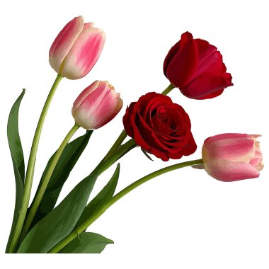 Laleler beyazlar üzerinde çiçekler