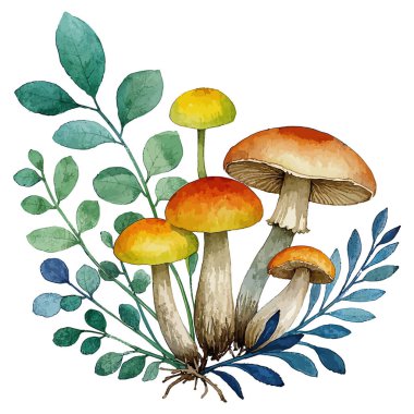 Ormanda mantar seti. suluboya