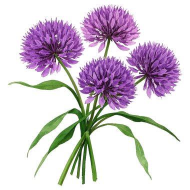 Mor çiçekler suluboya çizimi