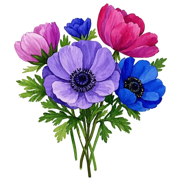 mavi mor gelincik çiçeği suluboya tarzında izole edilmiş.