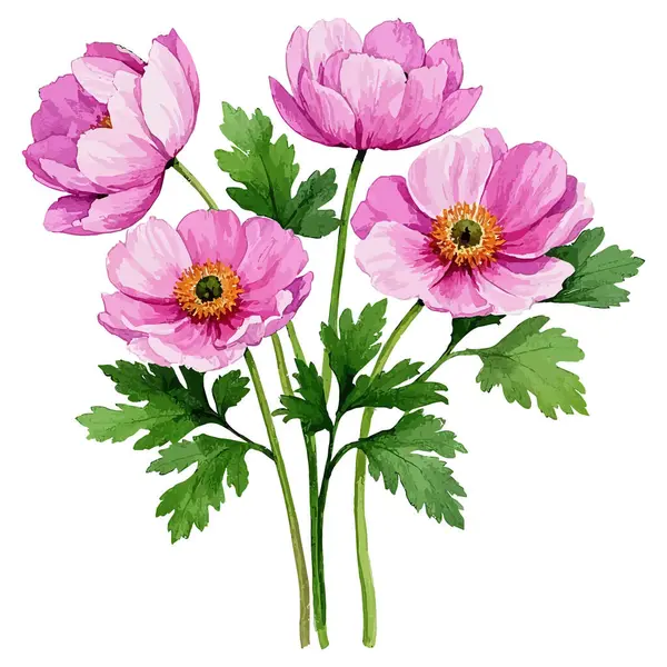 Beyaz arkaplanda pembe çiçekler