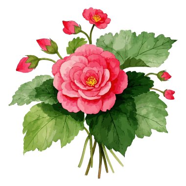 Yaprakları ve tomurcukları olan pembe gül çiçeği.