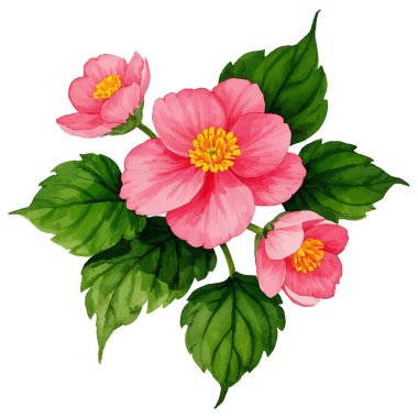 Kartpostal için güzel çiçek desenlerinin vektör çizimi