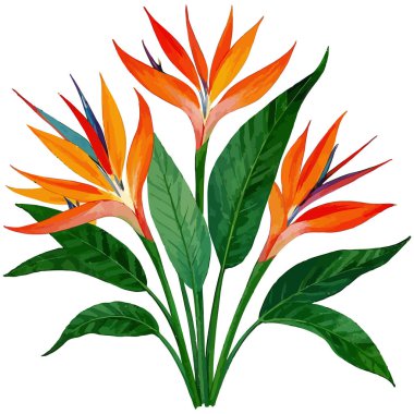 Beyaz arka planda izole edilmiş tropik yapraklar ve çiçekler. vektör illüstrasyonu