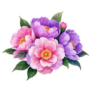 Beyaz arka planda suluboya pembe şakayık çiçeği