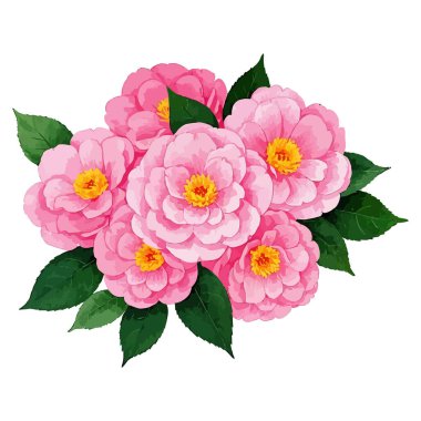 Beyaz arkaplanda pembe çiçekler