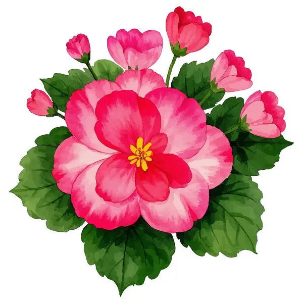 Güzel pembe ve kırmızı çiçeklerin suluboya çizimi