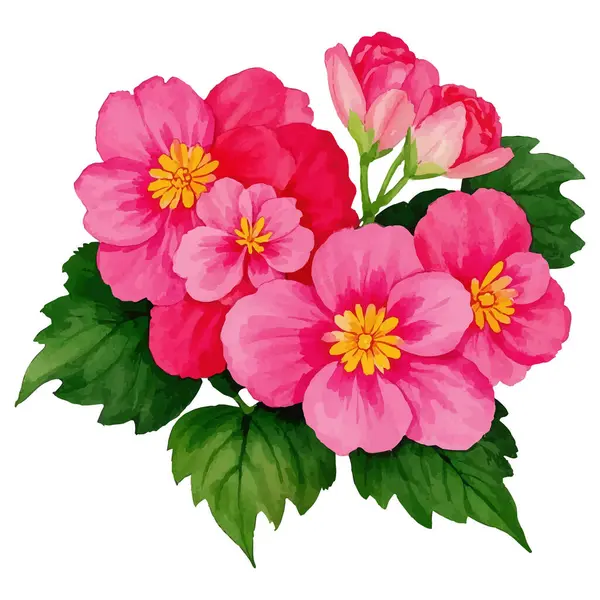 Çiçeklerin vektör illüstrasyonu.