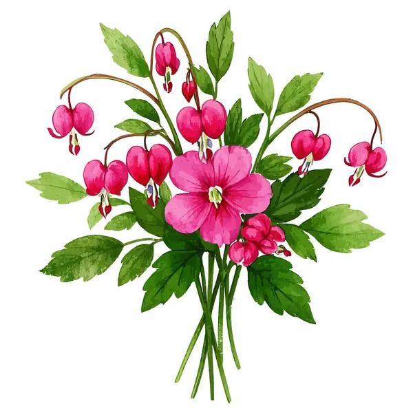 suluboya kırmızı şakayık çiçekleri beyaz arkaplanda