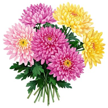 beyaz zemin üzerine suluboya çiçek