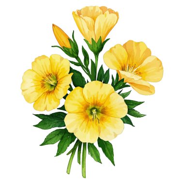 sarı ve turuncu çiçekler