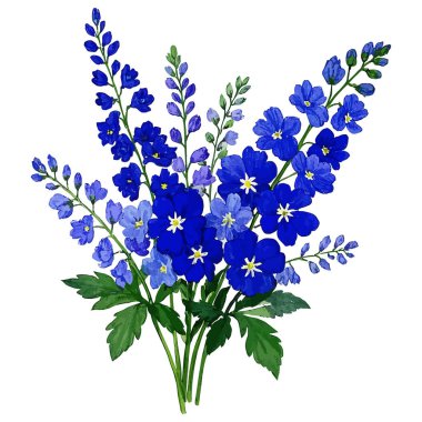 Mavi çan çiçeklerinin vektör çizimi