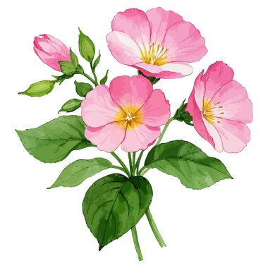 Suluboya pembe çiçekler, illüstrasyon