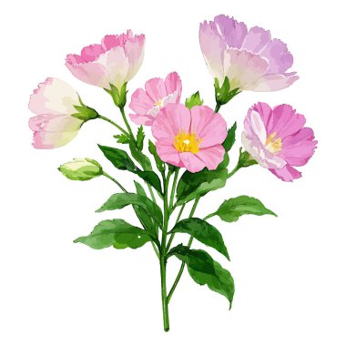 vektör suluboya çiçeği beyaz üzerine izole edildi