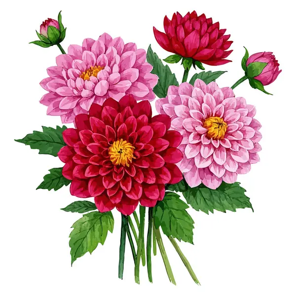 kırmızı ve pembe yıldız çiçekleri