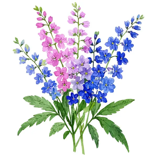 Çiçeklerin suluboya çizimi, beyaz arkaplanda izole