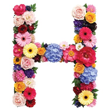 Beyaz arkaplanda izole edilmiş çiçeklerden gelen İngilizce alfabe harfi h