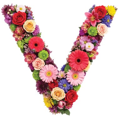 Beyaz üzerine izole edilmiş çiçeklerden yapılmış V harfi.
