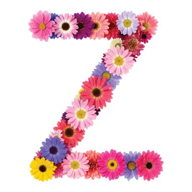 Renkli çiçeklerden gelen alfabe, beyaz arkaplanda Z harfi..