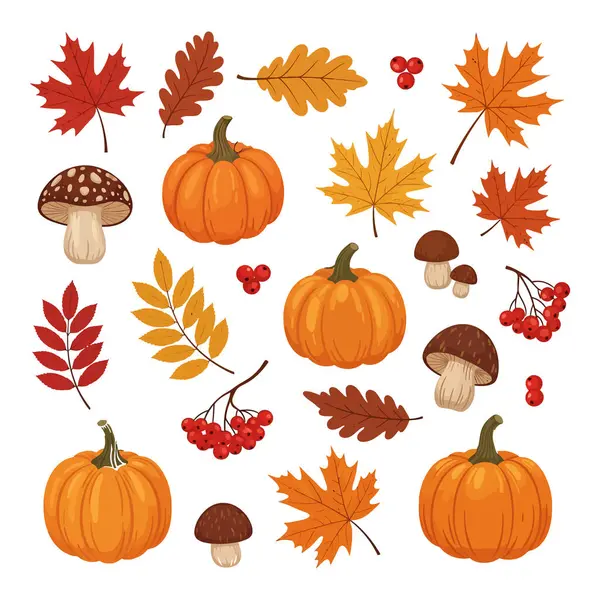 Renkli Sonbahar Elementleri Koleksiyonu: Kabaklar, Yapraklar, Mantarlar