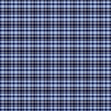 Mavi ve beyaz ekose kumaş dokusunu kontrol et. Tekstil ve giysiler için kusursuz desen, ve thths, elbiseler, giysiler, kağıt.