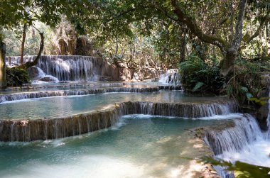 Kuang Si şelale yakınındaki Luang Prabang, Laos 