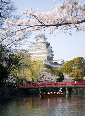 Himeji şatosuyla kiraz çiçeği açıyor. Hyogo Bölgesi 'nde popüler bir yer..
