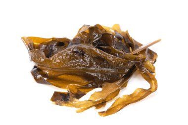 Laminaria (Kelp) Seaweed Isolated on White Background.Fresh seaweed wakame