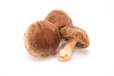 Beyaz arka planda izole edilmiş taze shiitake mantarı.