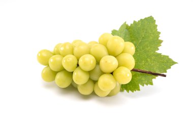 Beyaz arka planda izole edilmiş muscat üzümünü parlat. Tatlı yeşil üzüm.