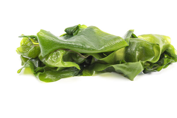 Seaweed wakame isolated on white background. Japanese organic fresh,healthy food.