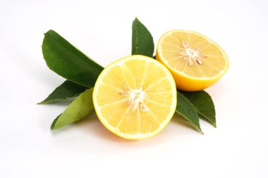 Beyaz arka planda yarı izole edilmiş organik limon meyvesi..