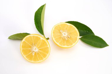 Beyaz arka planda yarı izole edilmiş organik limon meyvesi..