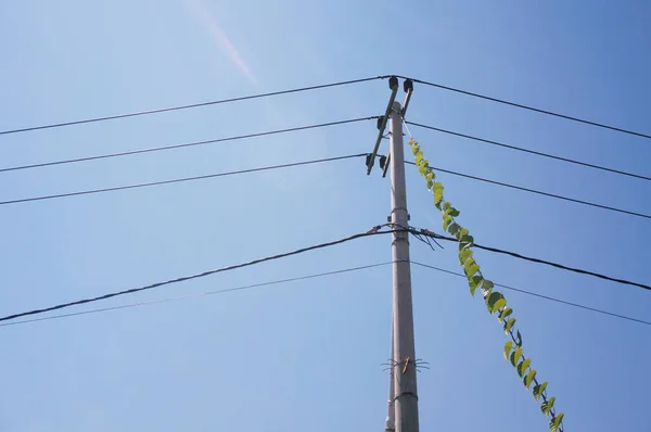 Pylon Uma Linha Energia Com Fios Elétricos Saída Againts Céu — Fotografia de Stock