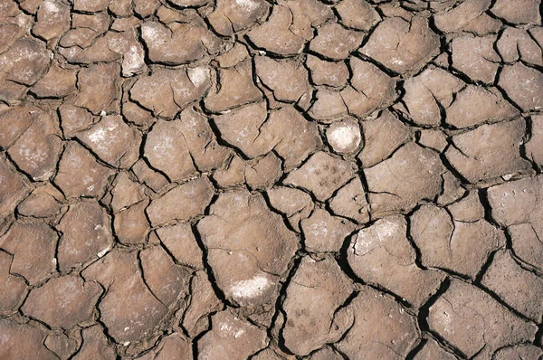 乾燥した割れた土の地面のテクスチャの背景 日当たりの良い乾燥土のモザイク模様 — ストック写真
