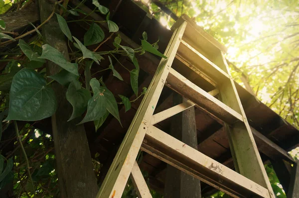 Aluminum ladder on wooden tower wih yellow sunlight.