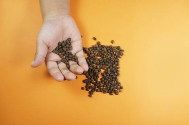 Sarı arka planda el ele tutulan ıspanak tohumları.                                                              