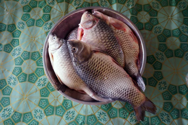 Φρέσκια Χρυσή Κοιλιά Barb Στην Αγορά Ψαριών — Φωτογραφία Αρχείου